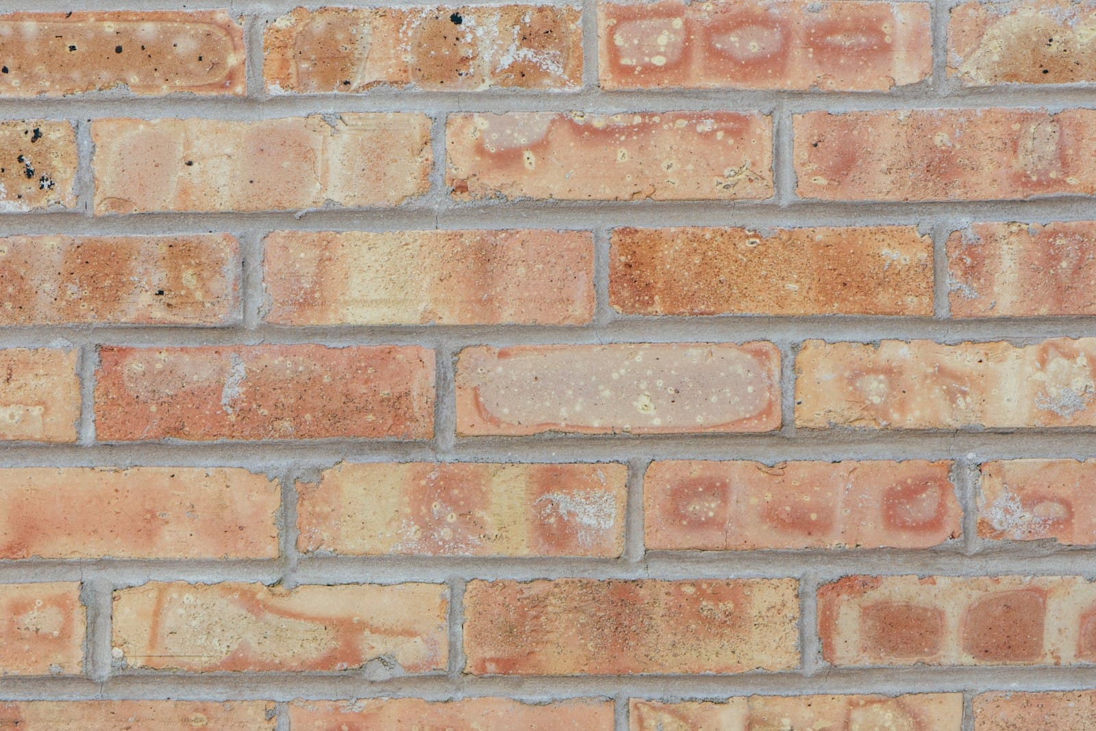 Photo by Morgan O’Brien close-up photo of brown brick wall
